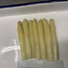 Canned White Asparagus thumbnail-4