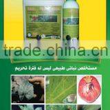 Tuta Absoluta FATTAK2 thumbnail-4