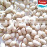 Chinese Blanched Peanut Kernels