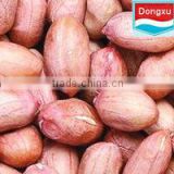 chinese peanut kernels 28/32