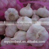 2016 New Crop Chinese Fresh Garlic thumbnail-1