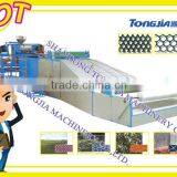 PE Plastic rigid plat net and geonet machine