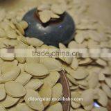 Shine Skin Pumpkin Seeeds thumbnail-6