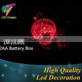 Flexible Mirco LED Light String 2AA Batteries Operated