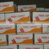 Chines Bulk Fresh Carrots Fresh Carrot Price thumbnail-5