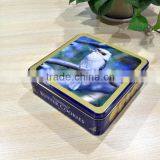 Parrot Printing Cookie Square Tin Box for Packing