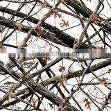 China Water Transfer Printing/Hydro Dipping/Aqua Print Film Camo Leaf Pattern No.RY157 thumbnail-3