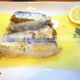 125g Canned Sardine in Oil(WW-125)color Tin Paking With HACCP IFS,BRC ISO thumbnail-3