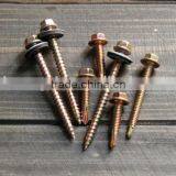 Fastener Hex Flange Head Self Tapping Roofing Screw thumbnail-5