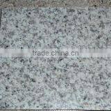 G655 Granite Tiles Slab White Grey Quarry Factory Owner thumbnail-4