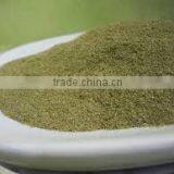 Cosmetic Use 10:1.20:1 Pure Natural Mint Powder