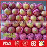 Fresh Fuji Apple Fruit for Sale From China Wholesale Distributors thumbnail-2