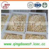 New Crop Garlic in Brine From Chinese Factory thumbnail-6