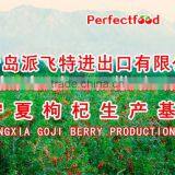 2015 High Quality Dried Goji Berry thumbnail-1