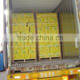 Shandong Fresh Taro thumbnail-6