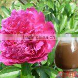 Paeoniflorin Powder Manufacture ISO, GMP, HACCP, KOSHER, HALAL Certificated thumbnail-1