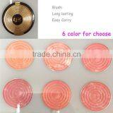 2016 Popular Waterproof Professional 6 Color Makeup Blusher Powder