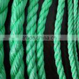 Polypropylene Split Film Rope, PP Twisted Rope