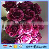 Simulation Art Rose thumbnail-1