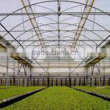 Plastic Sheet for Commercial Greenhouse thumbnail-3
