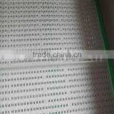 Teemyeah TW-506L Efficient Continuously Vegetable Washing Machine Leafy Vegetable Cleaning Machine thumbnail-6