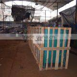 Multifilament Yarn Twisted Rope High Speed Twisting Machine thumbnail-6