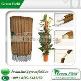 Greenhouse Plant Stake thumbnail-1