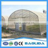 Cheap Agricultural Single Tree Greenhouse thumbnail-5