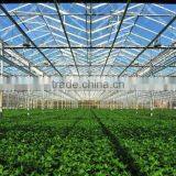 Vegetable Growing House thumbnail-4