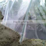 Garden Used Agricultural Greenhouse Tunnel Film on Sale thumbnail-3