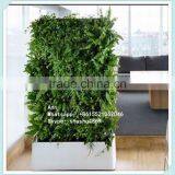 SAST-60060 Artificial Plant Wall Fence,ornament Boxwood Plant Wall thumbnail-1
