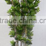 Indoor Home Garden Decorative 220cm Height Make Artificial Green Live Magnolia Bonsai Tree EXLYPZ06 0513 thumbnail-1