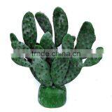 Wholesale Eco-friendly Artificial Cactus Plant for Landscaping thumbnail-1