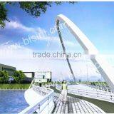 River Landscape Steel Structure Bridge, Metal Construction Decorative Bridge With CAD Design(BF08-Y10004) thumbnail-2