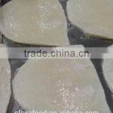All Type of Seafood Squid Fillets thumbnail-1