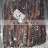 Fish Viet Nam of Illex Squid thumbnail-2