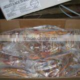 Spiny Lobster thumbnail-3