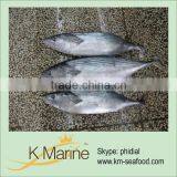 Sea Frozen SardaTuna Fish wr Lot Number#kmw4014 thumbnail-1