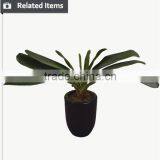 Artificial Bonsai Leaves Green Artificial Bamboo Tree Tall Phyllostacgys Edulis Bamboo thumbnail-4