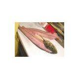 Sell Mahi-mahi Fillets (Peru) thumbnail-1