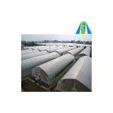 High Quality Greenhouse Plastic Film for Sale thumbnail-1