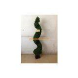 Artificial Topiary,aglaia Spiral,130050 thumbnail-2