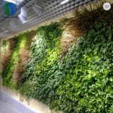 handmade artificial green plant  wall panel for decoration