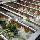 Fruit washing machine vegetable bubble washer leafy vegetable