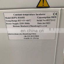 BIOBASE China Double Door Laboratory Constant-Temperature Incubator BJPX-H160II With LCD Display for Laboratory thumbnail-2