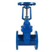 BS Standard OEM /ODM DN65 Pn10/16 China Factory Ductile Cast Iron Ggg40 Gate Valve Resilient Seat Rubber Wedge Gate Valve thumbnail-3