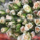 New OEM Fresh Rose Flower thumbnail-4