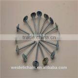 Galvanized Roofing Nails/ Umbrella Roofing Nails thumbnail-3