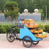 3 wheel pedal assit electric cargo tricycle with basket
