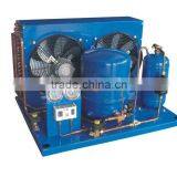 Condensing Unit for Refrigerant Cold Room